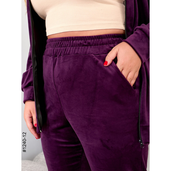 1240-12 Спортивний костюм жіночий на блискавці велюр супербатал (3 од: 54,56,58)
