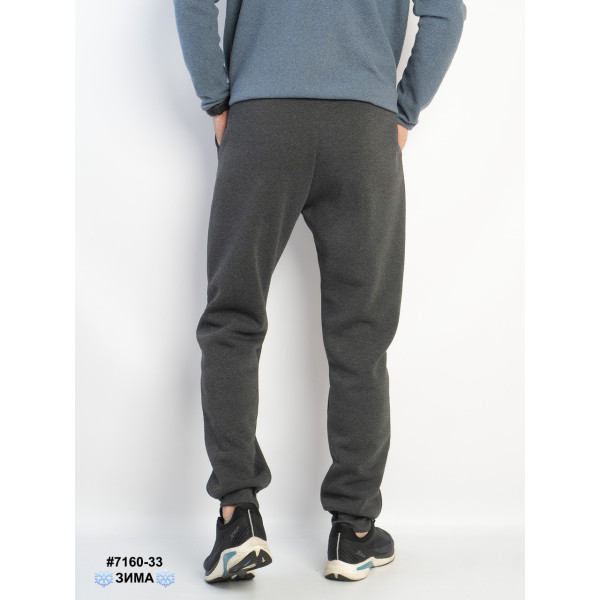 7160-33 Спортивні штани чоловічі на манжеті тринитка на флісі норма (4 од: 48,50,52,54)