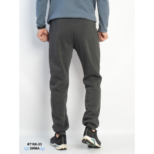 7160-33 Спортивні штани чоловічі на манжеті тринитка на флісі норма (4 од: 48,50,52,54)