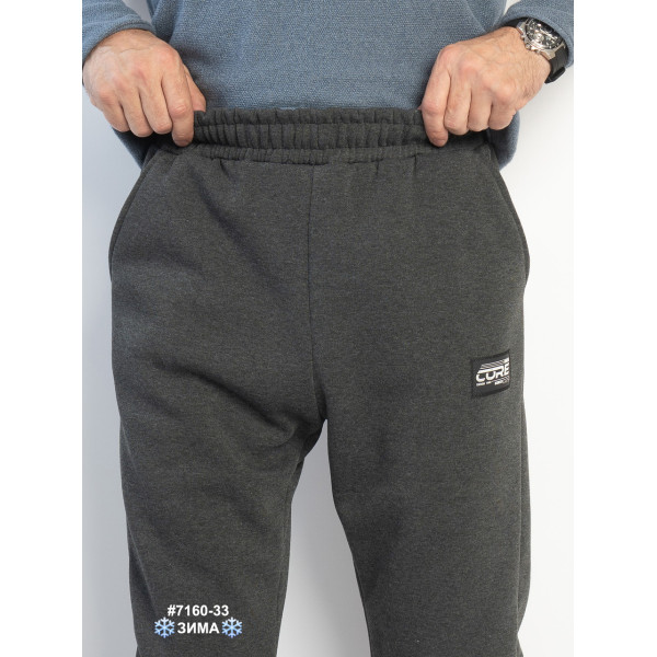 7160-33 Спортивні штани чоловічі на манжеті тринитка на флісі норма (4 од: 48,50,52,54)