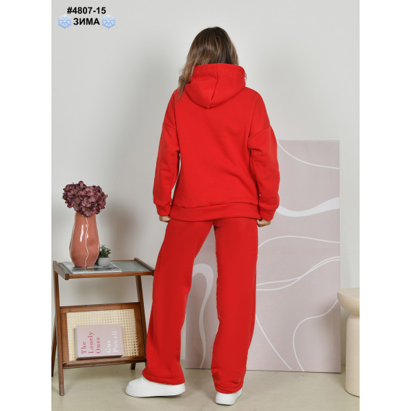 4807-15 Спортивний костюм жіночий тринитка на флісі норма (4 од: 44,46,48,50)