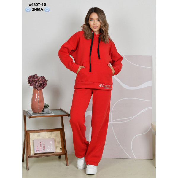 4807-15 Спортивний костюм жіночий тринитка на флісі норма (4 од: 44,46,48,50)