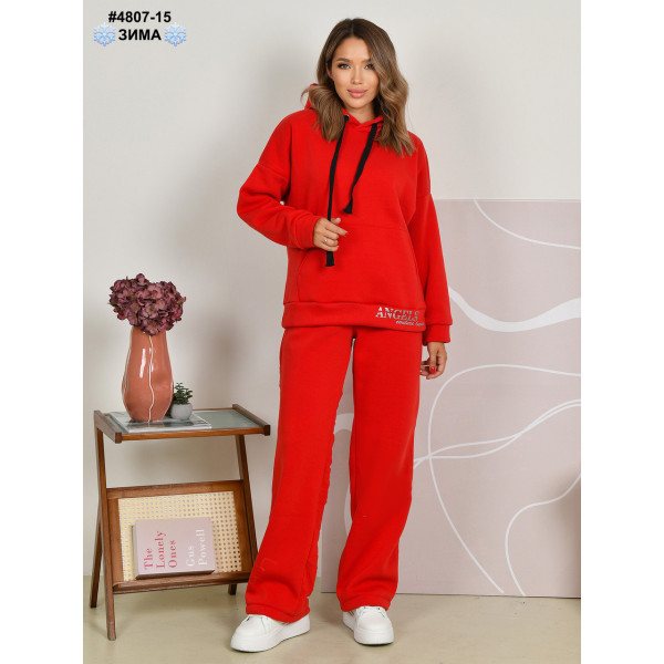 4807-15 Спортивний костюм жіночий тринитка на флісі норма (4 од: 44,46,48,50)