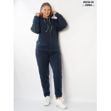 9250-26 Спортивний костюм жіночий тринитка на флісі напівбатал (4 од: 48,50,52,54)