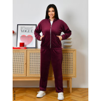 4590-14 Спортивний костюм жіночий велюр на блискавці напівбатал (3 од: 48,50,52)