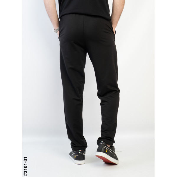 3101-31 Спортивні штани чоловічі прямі двунитка норма (4 од: 48,50,52,54)