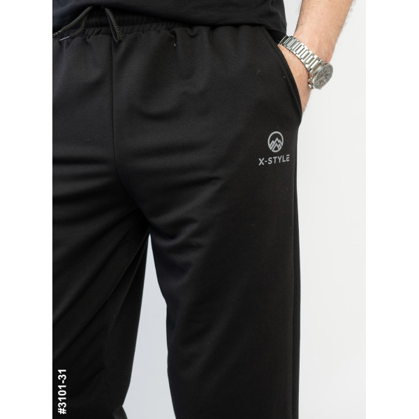 3101-31 Спортивні штани чоловічі прямі двунитка норма (4 од: 48,50,52,54)