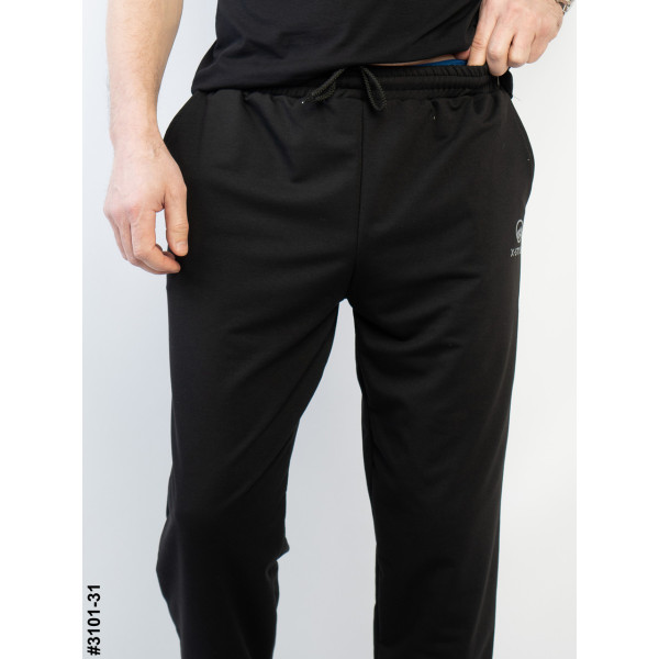 3101-31 Спортивні штани чоловічі прямі двунитка норма (4 од: 48,50,52,54)