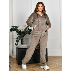 8327-23 Спортивний костюм жіночий на блискавці велюр напівбатал (4 од: 48,50,52,54)