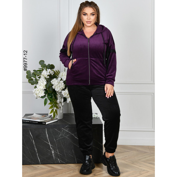 9977-12 Спортивний костюм жіночий на блискавці велюр батал (4 од: 54,56,58,60)