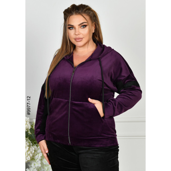 9977-12 Спортивний костюм жіночий на блискавці велюр батал (4 од: 54,56,58,60)