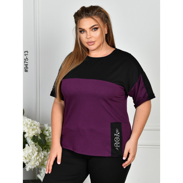 9475-13 Спортивний костюм жіночий двонитка батал (4 од: 54,56,58,60)