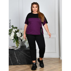 9475-13 Спортивний костюм жіночий двонитка батал (4 од: 54,56,58,60)