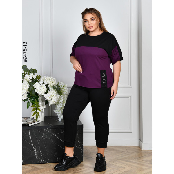 9475-13 Спортивний костюм жіночий двонитка батал (4 од: 54,56,58,60)