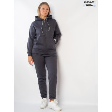 Спортивний костюм жіночий (9250-32)