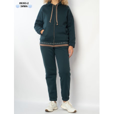 9393-2 Спортивний костюм жіночий на блискавці тринитка на флісі батал (4 од: 52,54,56,58)