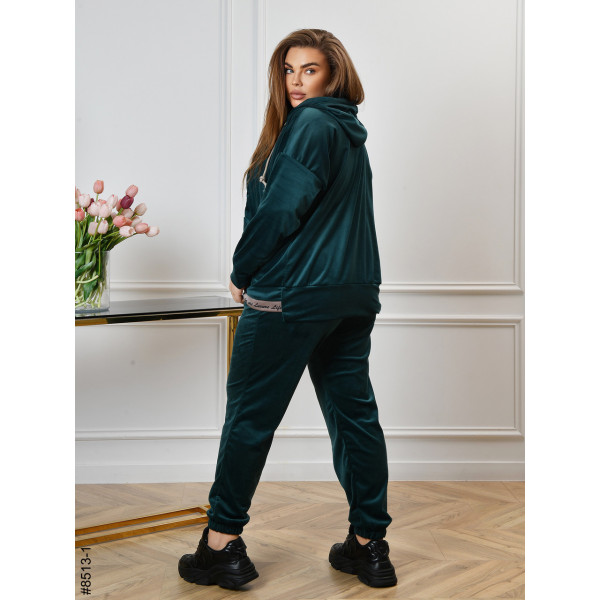 8513-1 Спортивний костюм жіночий на блискавці велюр батал (4 од: 56,58,60,62)