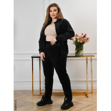 3610-31 Спортивний костюм жіночий на блискавці велюр батал (3 од: 54,56,58)