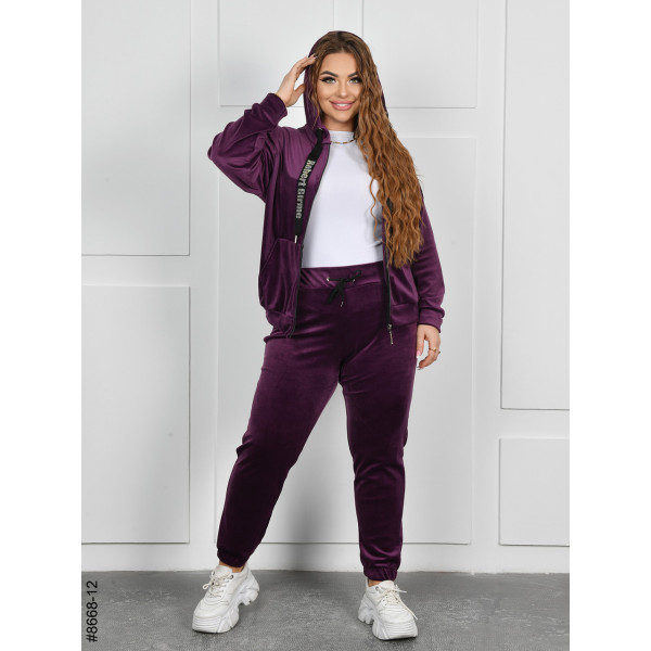 8668-12 Спортивний костюм жіночий на блискавці велюр батал (4 од: 54,56,58,60)