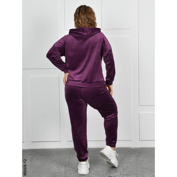 8668-12 Спортивний костюм жіночий на блискавці велюр батал (4 од: 54,56,58,60)