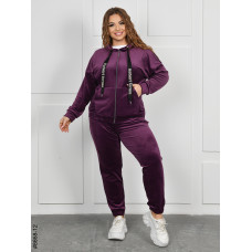 8668-12 Спортивний костюм жіночий на блискавці велюр батал (4 од: 54,56,58,60)