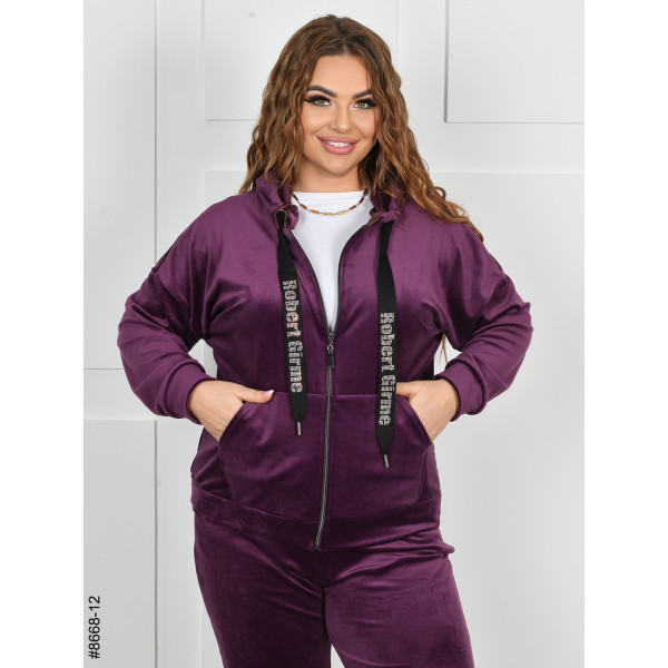 8668-12 Спортивний костюм жіночий на блискавці велюр батал (4 од: 54,56,58,60)