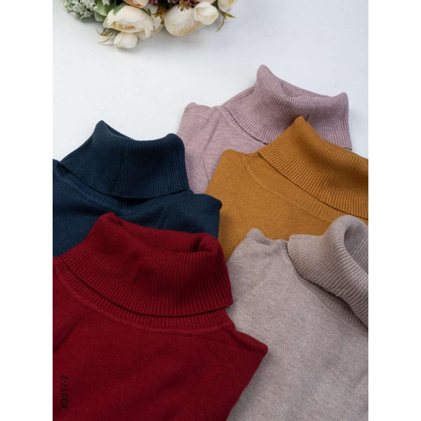 Жіночий гольф (3017-2 МІКС)