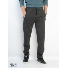 0401-32 Спортивні штани чоловічі прямі на флісі котон норма (5 од: L,XL,2XL,3XL,4XL)