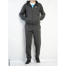 3550-32 Спортивний костюм чоловічий пряма штанина двонитка норма (5 од: 48,50,52,54,56)