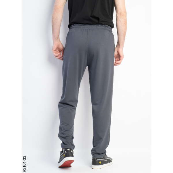 3101-33 Спортивні штани чоловічі прямі двунитка норма (4 од: 48,50,52,54)