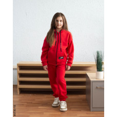 5730-15 Спортивний костюм на блискавці тринитка на флісі підліток (4 од: 36,38,40,42)