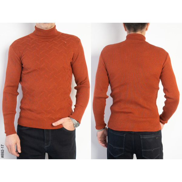 892-17 Светр чоловічий норма (2 од: L,XL)