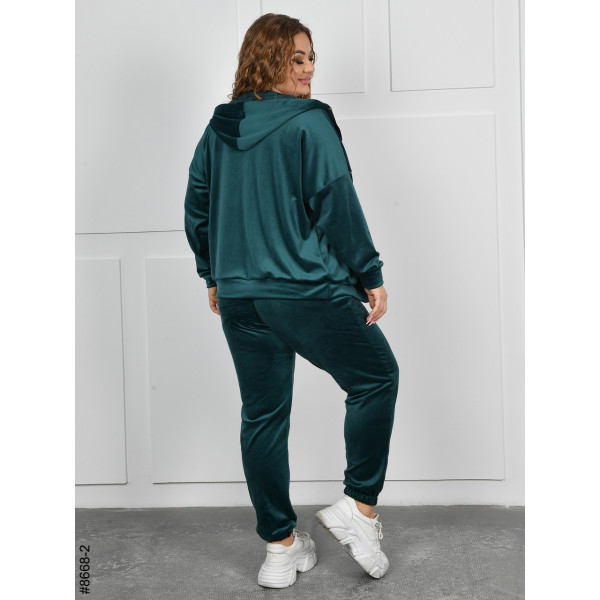 8668-2 Спортивний костюм жіночий на блискавці велюр батал (4 од: 54,56,58,60)