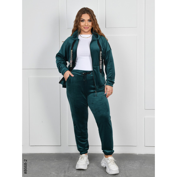 8668-2 Спортивний костюм жіночий на блискавці велюр батал (4 од: 54,56,58,60)