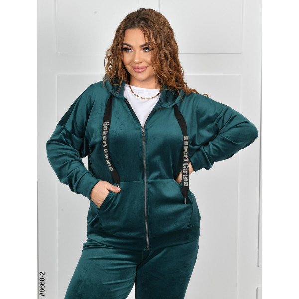 8668-2 Спортивний костюм жіночий на блискавці велюр батал (4 од: 54,56,58,60)