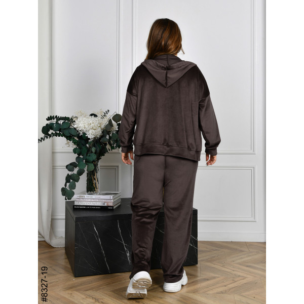 8327-19 Спортивний костюм жіночий на блискавці велюр напівбатал (4 од: 48,50,52,54)