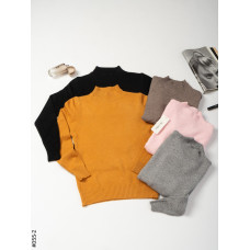 055-2 Жіночій гольф норма МІКС