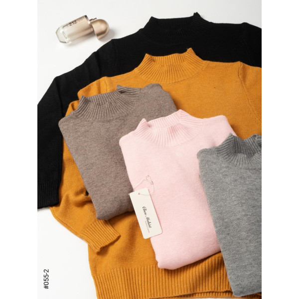 055-2 Жіночій гольф норма МІКС