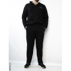 6700-31 Спортивний костюм на блискавці чоловічий пряма штанина двонитка батал (3 од: 56,58,60)