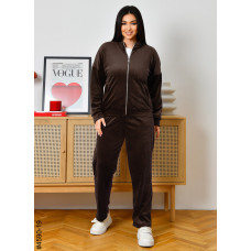 4590-19 Спортивний костюм жіночий велюр на блискавці напівбатал (3 од: 48,50,52)