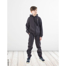 2589-33 Спортивний костюм на блискавці тринитка на флісі підліток (4 од: 36,38,40,42)