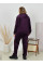3610-11 Спортивний костюм жіночий на блискавці велюр батал (3 од: 54,56,58)