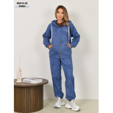 6610-28 Костюм жіночий турецька тринитка на флісі варьонка норма (3 од: 42,44,46)