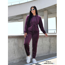 7340-11 Спортивний костюм жіночий на блискавці велюр на хутрі напівбатал (4 од: 48,50,52,54)
