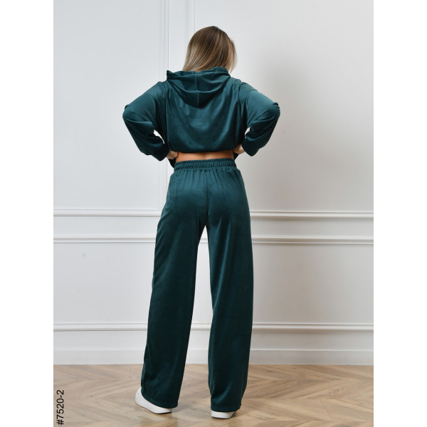 7520-2 Спортивний костюм жіночий на блискавці велюр норма (4 од: 44,46,48,50)