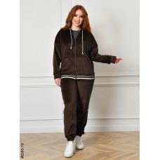 8383-19 Спортивний костюм жіночий на блискавці велюр напівбатал (4 од: 48,50,52,54)