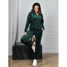 6101-4 Спортивний костюм жіночий на блискавці велюр норма (5 од: 44,46,48,50,52)
