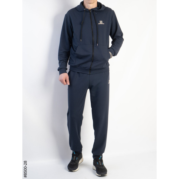 8500-28 Спортивний костюм чоловічий на манжеті турецька двонитка норма (5 од: 48,50,52,54,56)