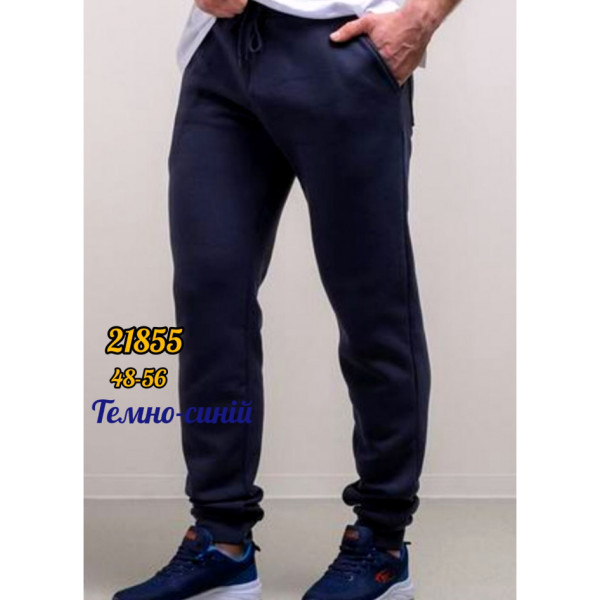 21855* вибір кольору чоловічі спортивні штані, тринитка на флісі (5 од., розміри норма: 48-50-52-54-56 ) видача наступного дня
