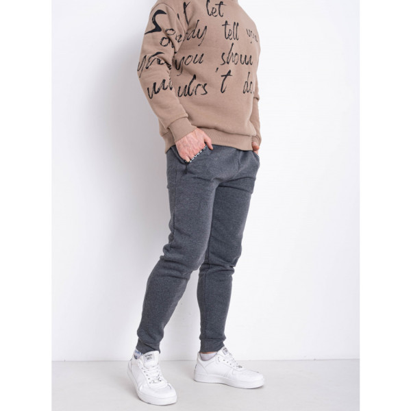 1088-6 сірі чоловічі спортивні штани (Godsend. тринитка на флісі, на манжеті, 4 од. розміри норма: L. XL. 2XL. 3XL)